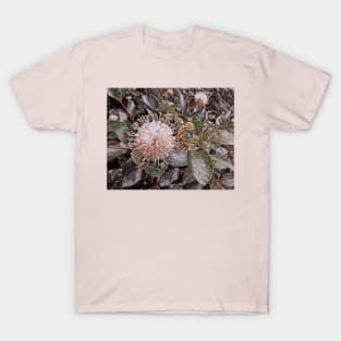 Big Bloom No.2 T-Shirt